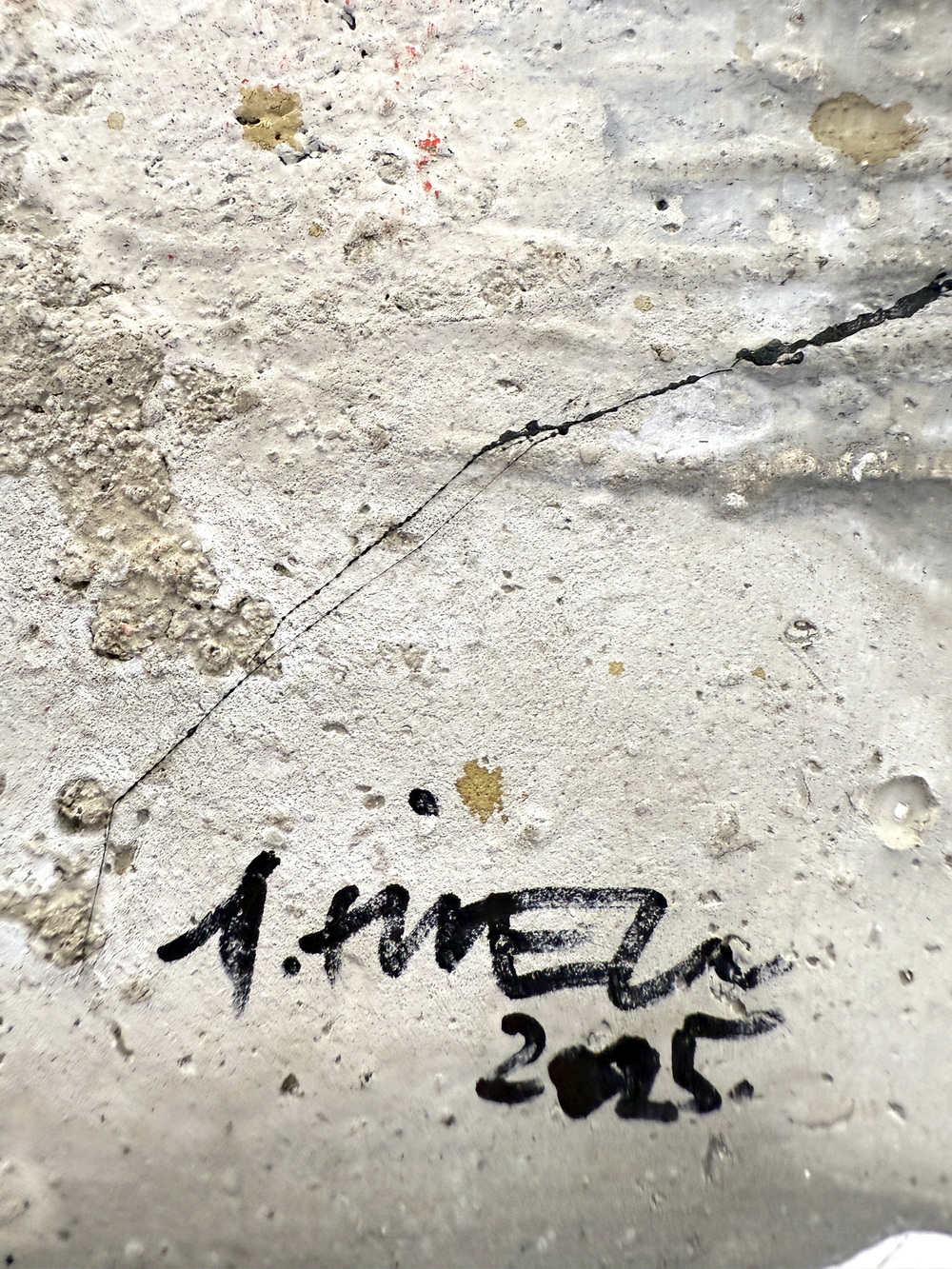 1189 13 2